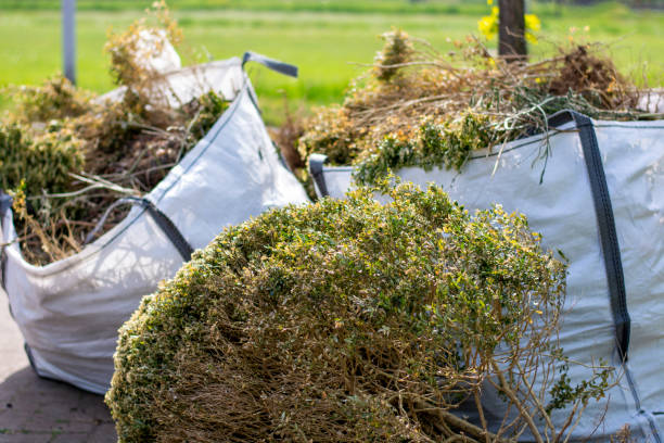 Shed Removal in Lumberton, NC